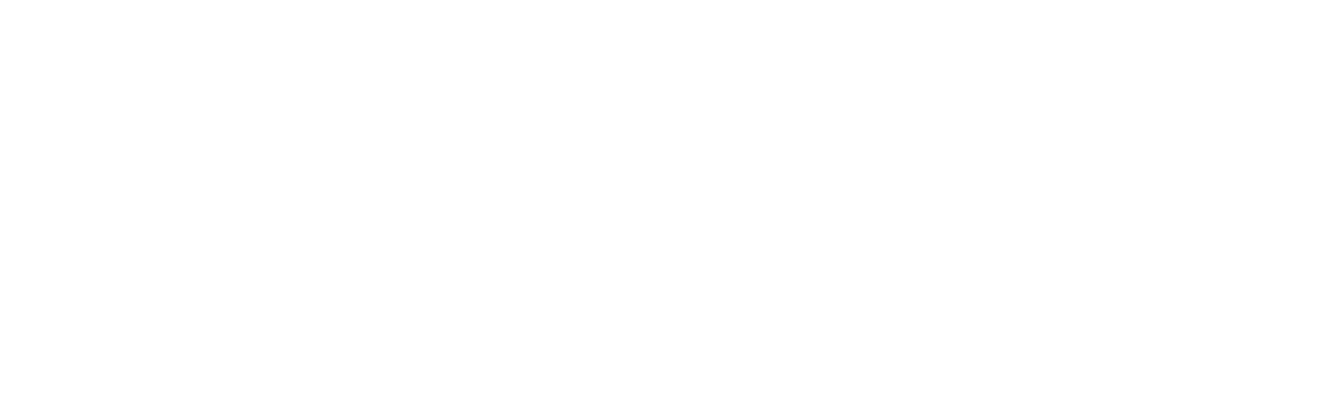 SDN Sports Digital Network logo