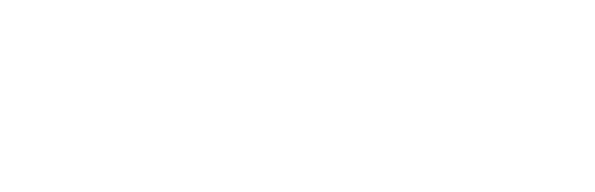 SDN Dark